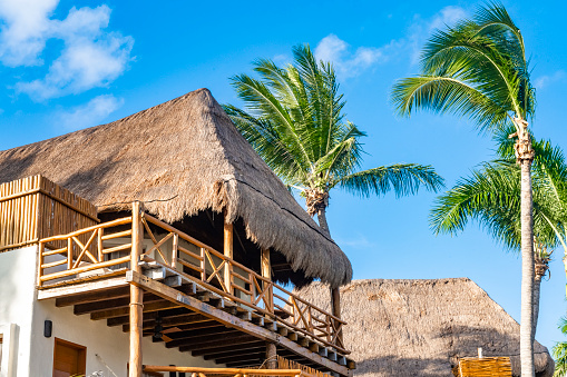 In Playa del Carmen, Mexico a hotel with a traditional thatched roof is landscaped with palm trees stands against a blue sky on a sunny day.