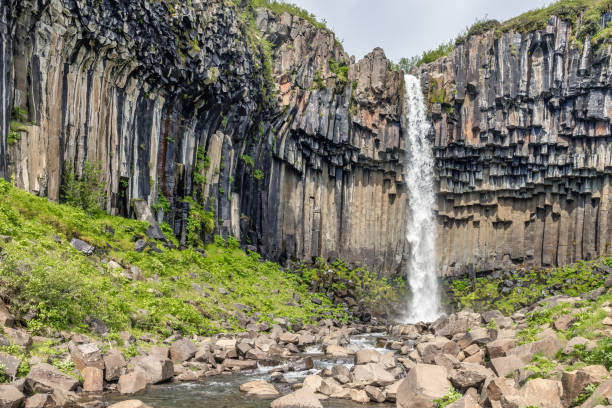 istock Svartifoss Waterfall Skaftafell with black basalt columns, Iceland 1447481435