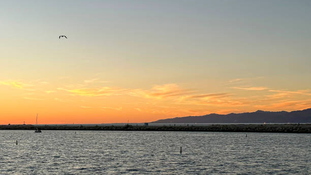 istock Sunset in Marina del Rey, CA in Winter 1447481521