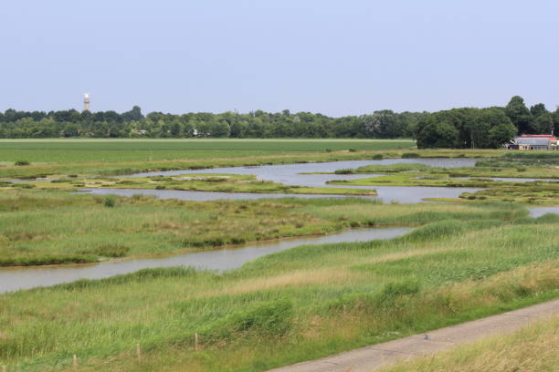 istock a green saline grassland and open water 1447481846