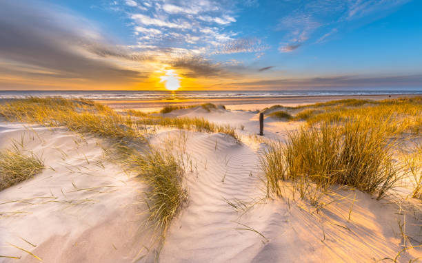 istock Beach and dunes colorful sunset 1447482239