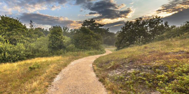 Hazy Sunset over walking track in the dunes