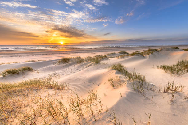 istock Beach and dunes colorful sunset 1447483061