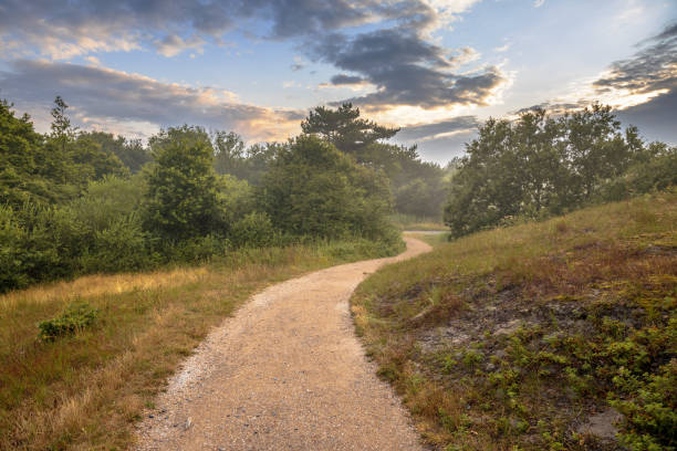istock Hazy Sunset over walking track in the dunes 1447483075