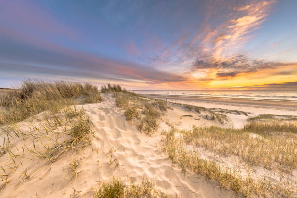 istock Beach and dunes colorful sunset 1447483249