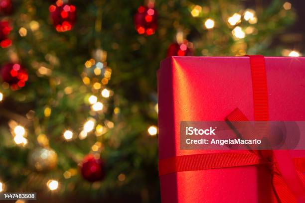 Gift And Christmas Tree Stock Photo - Download Image Now - Backgrounds, Box - Container, Brazil