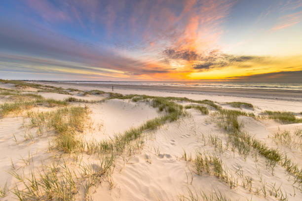 istock Beach and dunes colorful sunset 1447483572