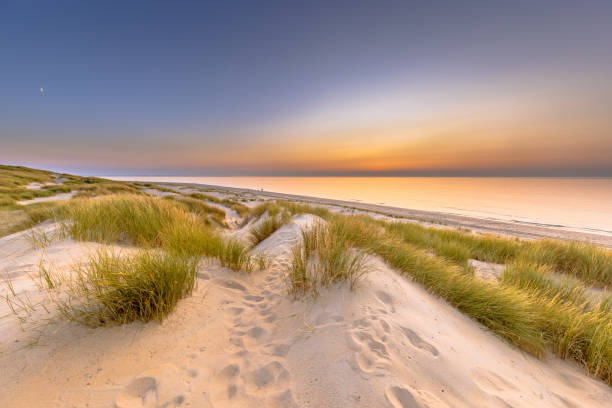 istock Sunset View over ocean from dune in Zeeland 1447483585