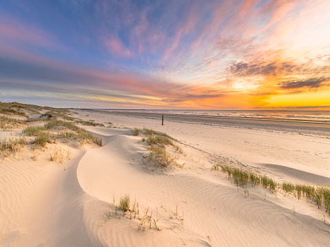 Beach and dunes Dutch coastline landscape seen from Wijk aan Zee over the North Sea at sunset, Netherlands