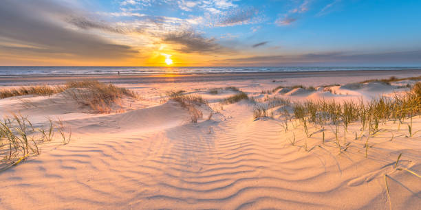Beach and dunes colorful sunset stock photo