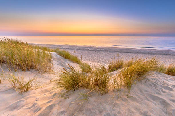 istock Sunset View over ocean from dune in Zeeland 1447484989