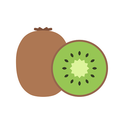 Kiwi, whole fruit and half. Vector illustration isolated on white background.