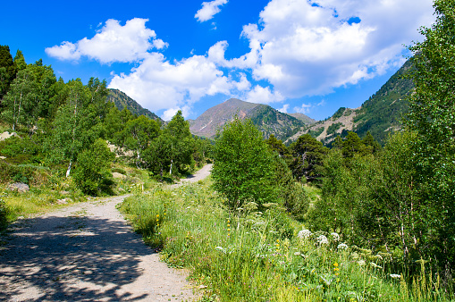 Pyrenees mountains in Andorra, forest and hiking trail.