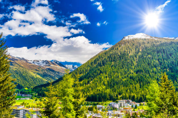 istock Alps Mountains covered with pine forest, Davos, Graubuenden, Sw 1447495392