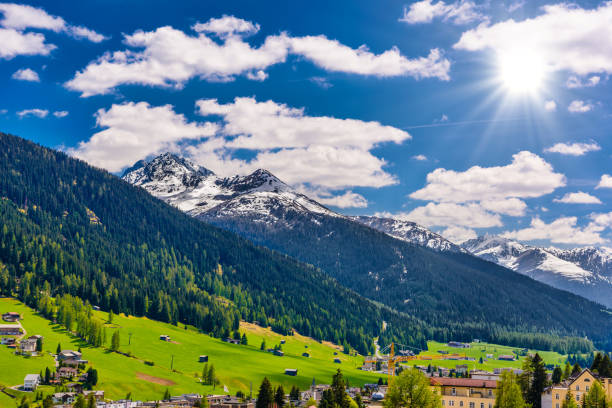 istock Alps Mountains covered with pine forest, Davos, Graubuenden, Sw 1447495406