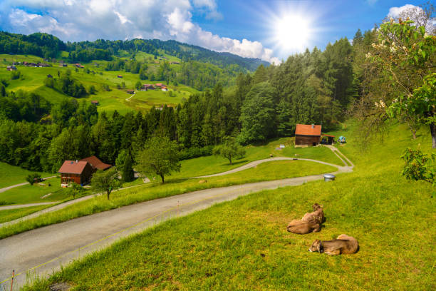 Long red train crossing plain green valley near Alps, Switzerland in summer