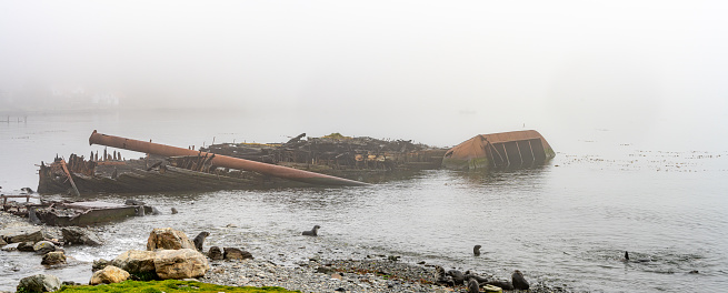 Wrecks of old whaling boats in Grytviken South Georgia in fog