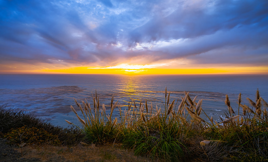 Beautiful sunset over the Pacific ocean, Big Sur, California Central Coast, Cloudy sky, quiet water, and native plants in golden sunlight