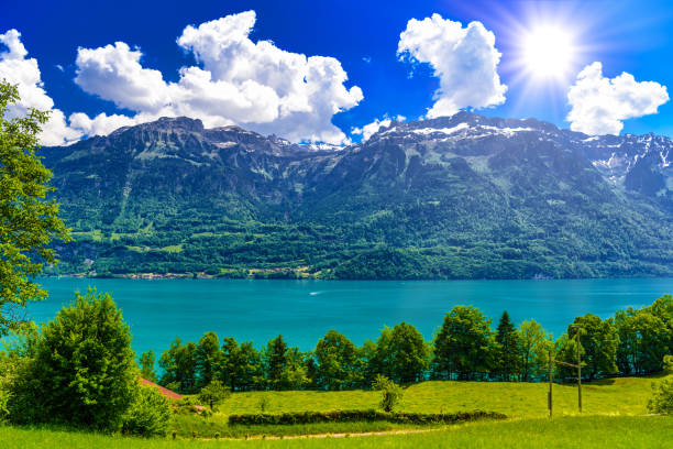 透明なアズール湖ブリエンツ、オーバーリード・アム・ブリエンツァーゼー、インターラーセン・オーバーハスリ、ベルン、スイス - oberhasli ストックフォトと画像