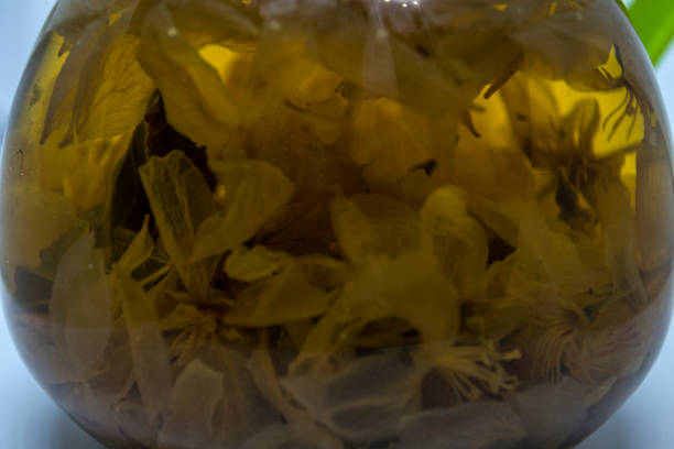 istock Apple blossom brewed in a teapot, apple tea. 1447502693