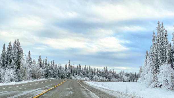 istock Winter Driving in Interior Alaska 1447502877