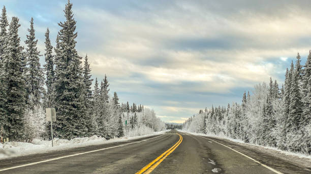 istock Winter Driving in Interior Alaska 1447502909