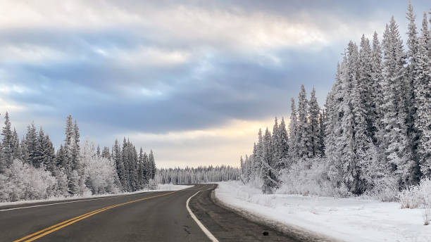 istock Winter Driving in Interior Alaska 1447502936