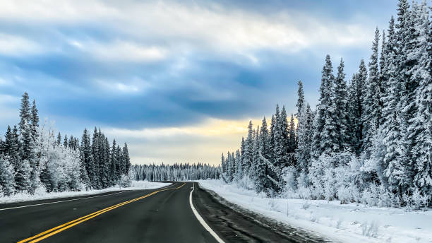istock Winter Driving in Interior Alaska 1447502967