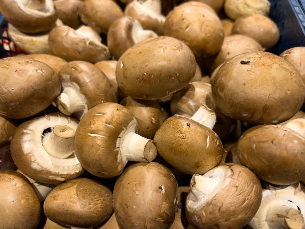 istock Fresh chestnut or crimini mushrooms 1447504446