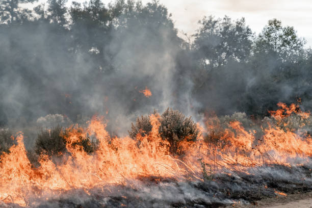 istock Wildfire in California 1447506204