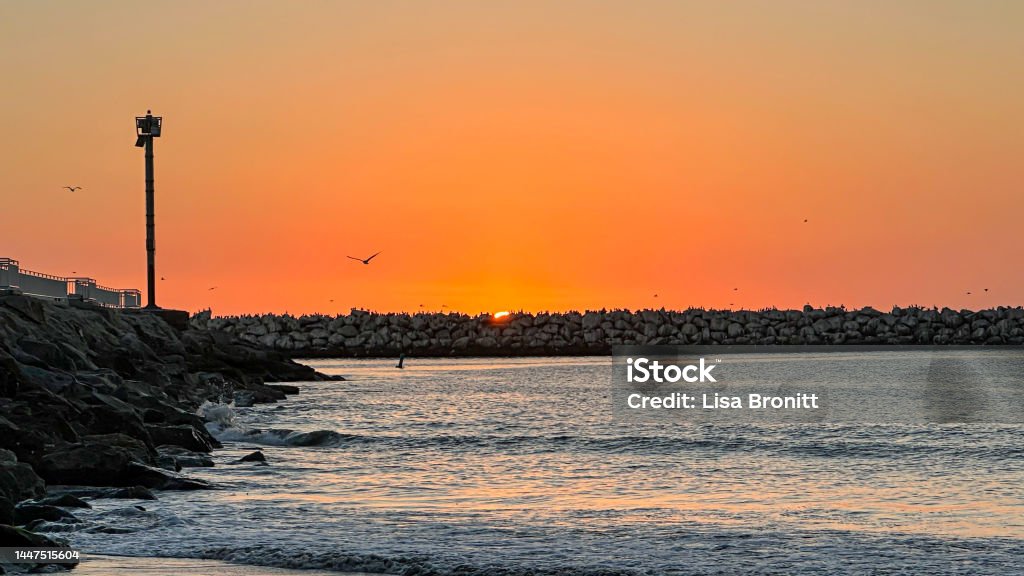 Calm winter sunset in Marina del Rey with birds Landscape - Scenery Stock Photo