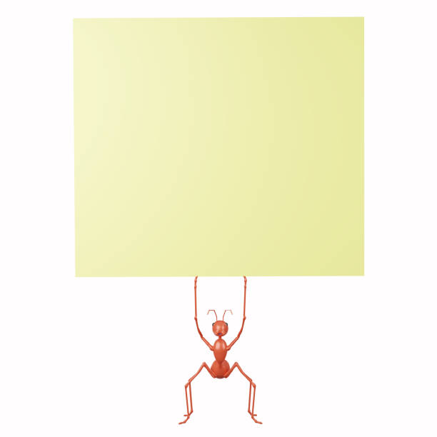 model 3d czerwonej mrówki trzymającej puste post it lub notatnik do wypełnienia tekstu koncepcja małej opinii jest ważna postać z kreskówki 3d ze ścieżką przycinającą wyizolowaną na białym tle ilustracja renderowania 3d - ant comedian zdjęcia i obrazy z banku zdjęć