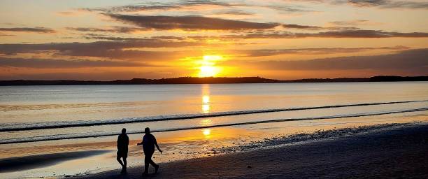 istock Enjoying the beach at sunrise 1447523219