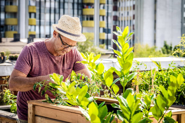 istock Man taking care of his plants 1447523841