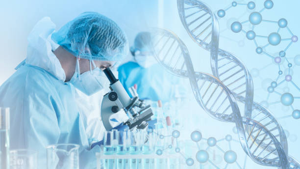 scientist or reseacher using microscope in biotechnology laboratory  overlay with DNA strand and molecules symbol stock photo