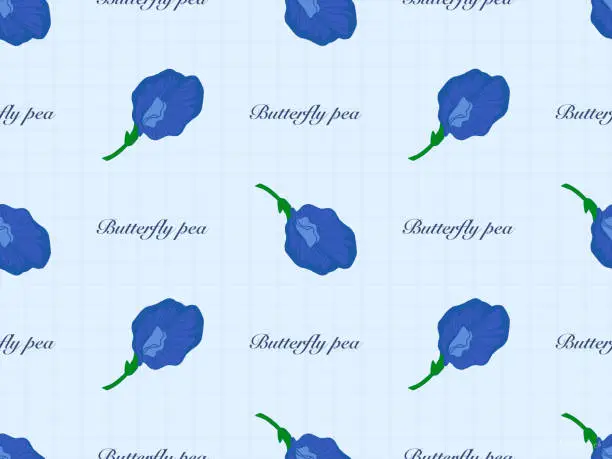 Vector illustration of Butterfly Pea Flowers seamless pattern on blue background