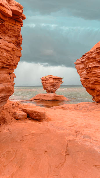 istock Tea Cup Rock Standing High in Prince Edward Island 1447536487