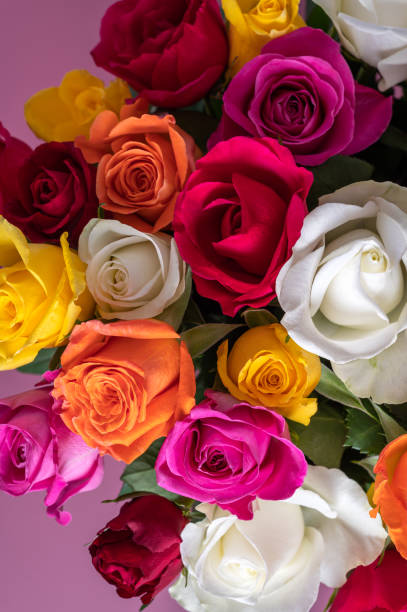 istock Bunch of colorful roses 1447536869
