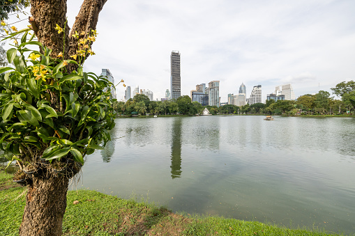 Kuala Lumpur, Malaysia - December 24, 2016: Symphony Lake and KLCC Park near  Petronas Twin Towers. Kuala Lumpur, Malaysia