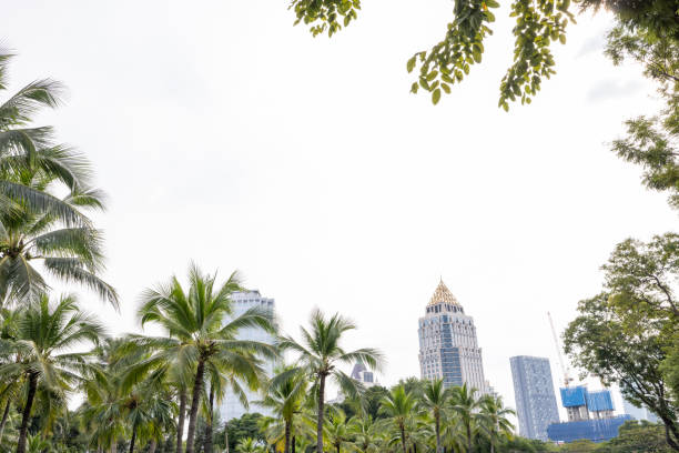 Contrast of nature and city, urban sustainability concept.