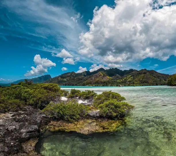 Photo of French polynesia,  paysage