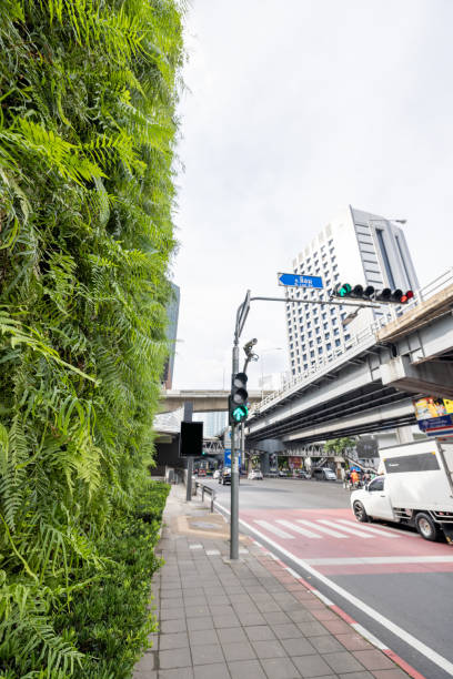 istock Green facade, vertical garden in architecture, road with vehicles 1447547224
