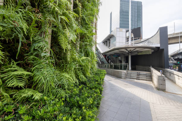 istock Green facade, vertical garden in architecture near sky train 1447547855