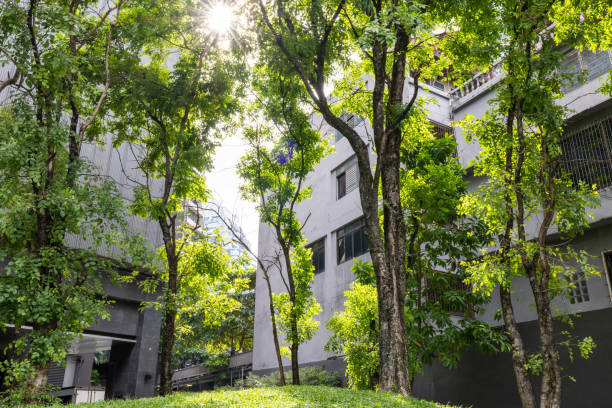 Contrast of nature and city, urban sustainability concept.