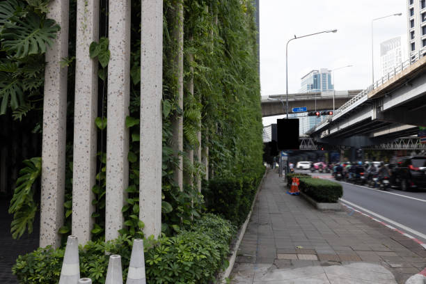 istock Green facade, vertical garden in architecture 1447553214
