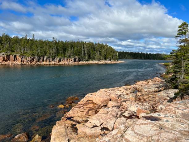 istock Ship Harbor Trail at Acadia National Park 1447556103