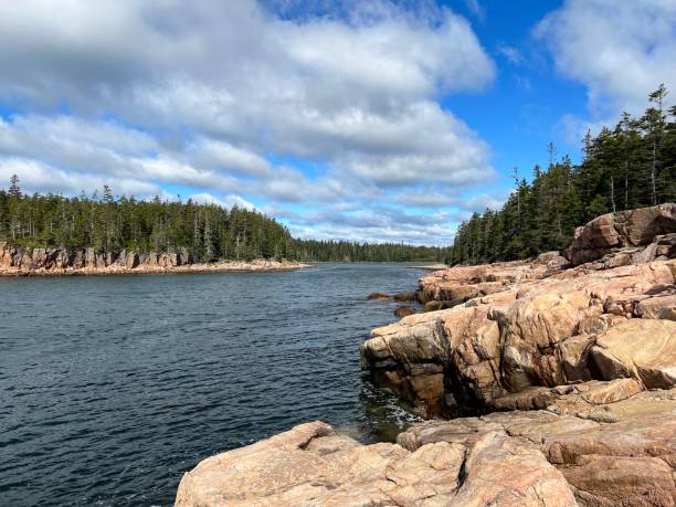 istock Ship Harbor Trail at Acadia National Park 1447556106