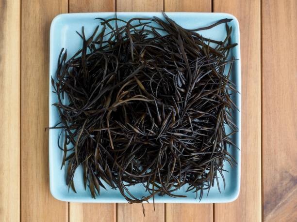 fresh seaweed  sargassum fusiforme, food ingredients - ascidiacea bildbanksfoton och bilder