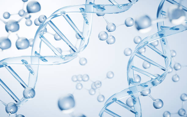 istock DNA and biology concept, 3d rendering. 1447571287