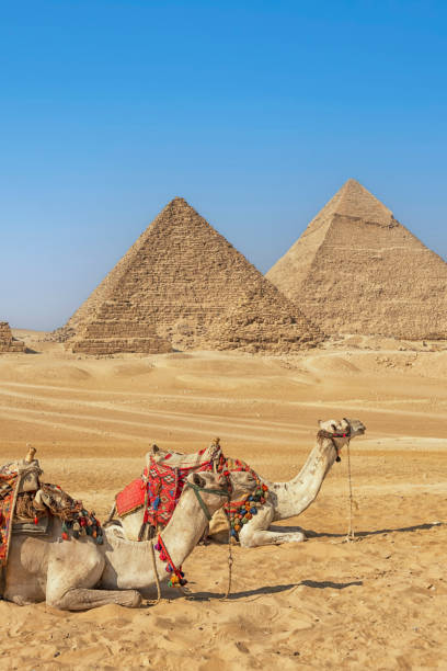 les pyramides de gizeh en égypte - pyramid pyramid shape egypt cairo photos et images de collection